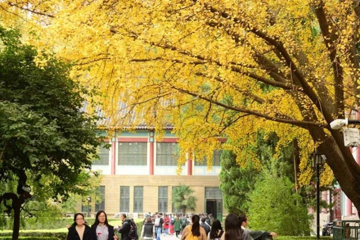 2024最新！中國高校數(shù)量Top10城市大揭秘